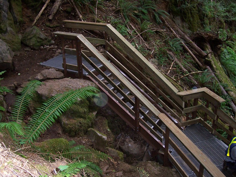 MOE; Horne Lake Caves