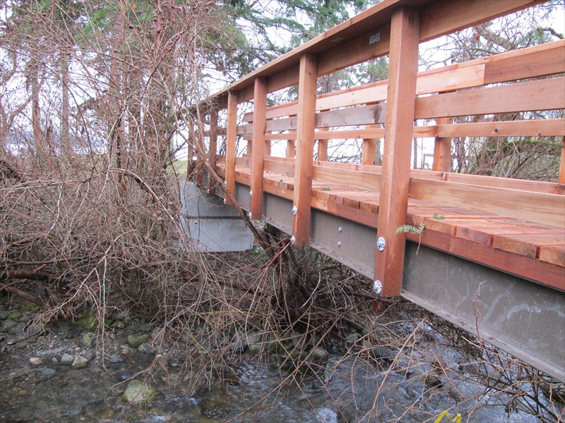 Residential Pedestrian Bridge Residential Pedestrian Bridge